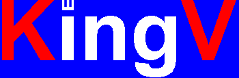 Website Logo