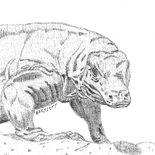Pencil dragon